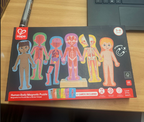 Human Body Magnetic Puzzle 