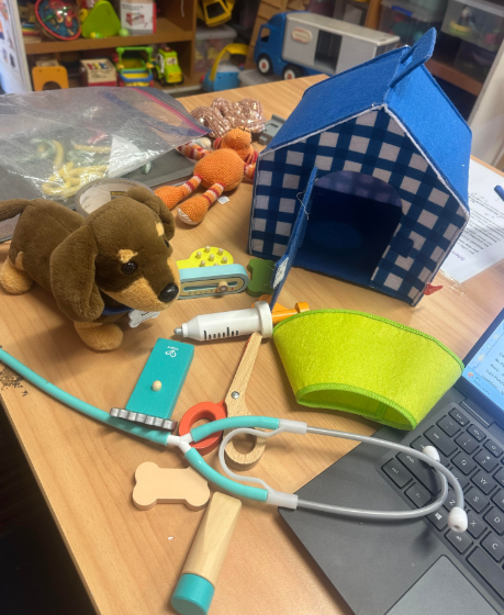 Hape Puppy Care Clinic Vet Set
